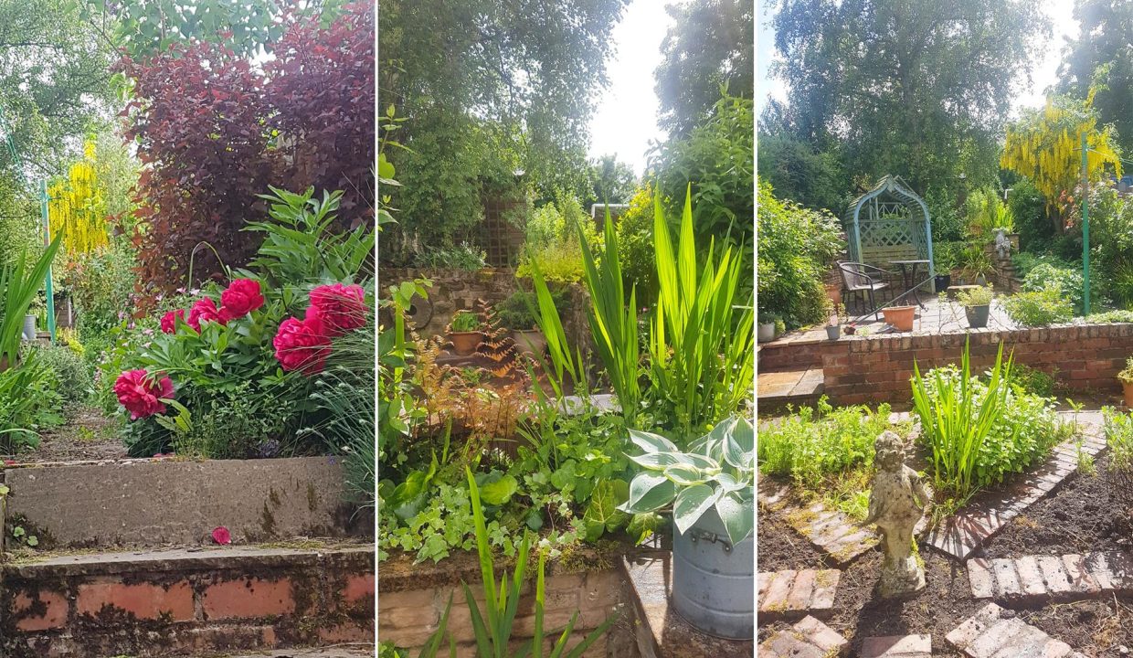 REAR GARDEN IN BLOOM