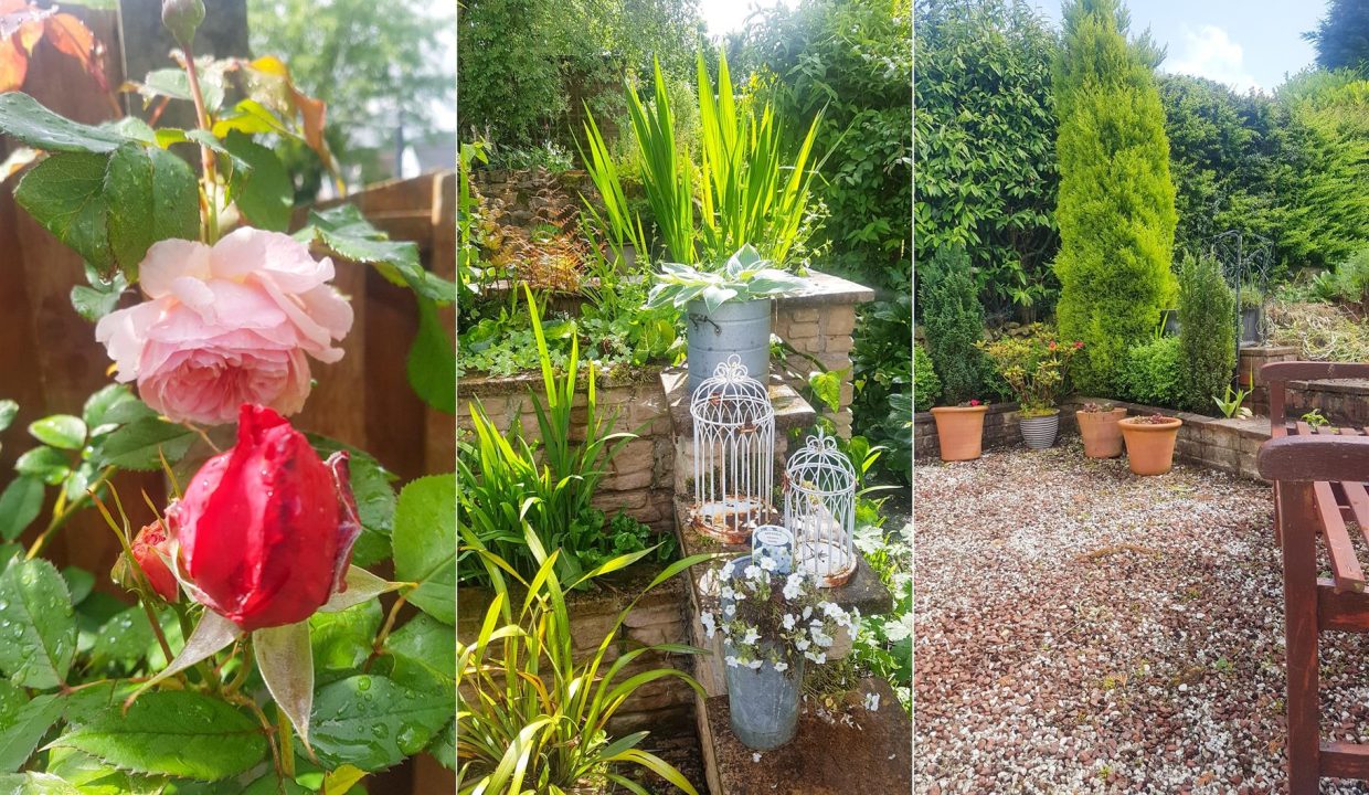 REAR GARDEN IN BLOOM