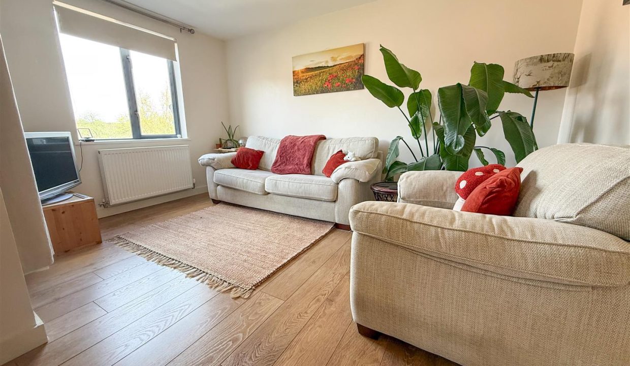 OPEN PLAN LOUNGE KITCHEN DINING ROOM