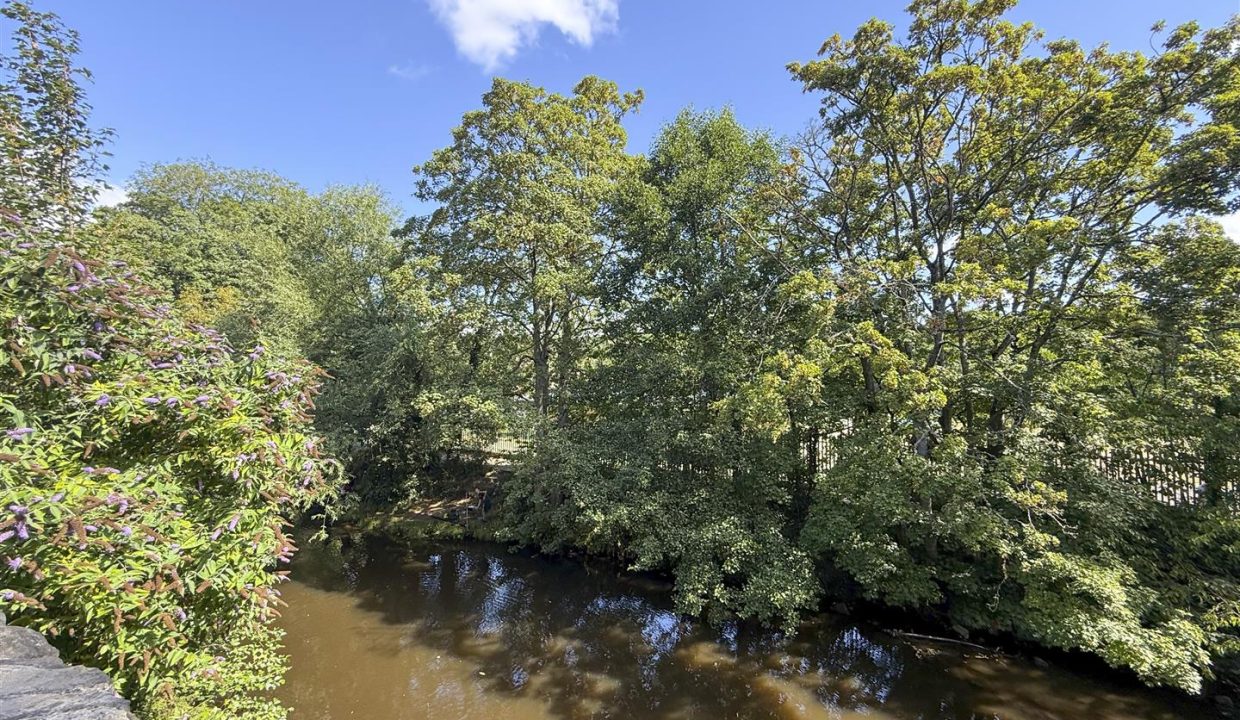 RIVER VIEW