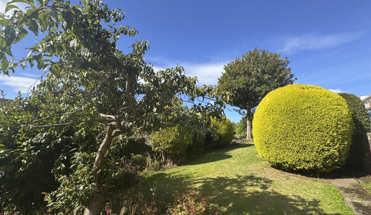 REAR GARDENS