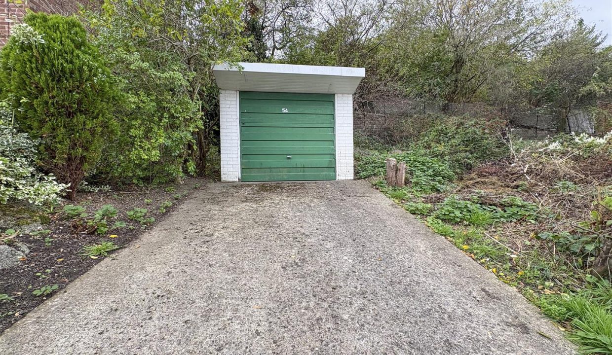 GARAGE AND DRIVEWAY